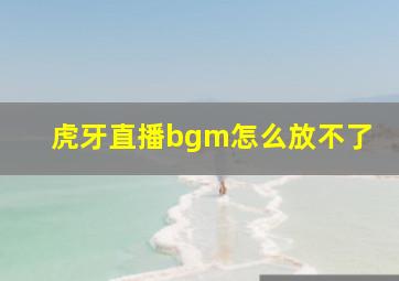 虎牙直播bgm怎么放不了