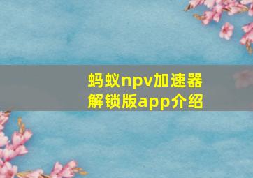 蚂蚁npv加速器解锁版app介绍