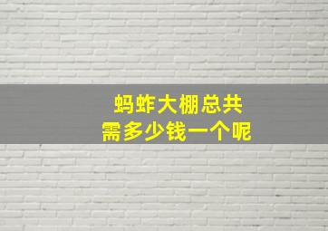 蚂蚱大棚总共需多少钱一个呢