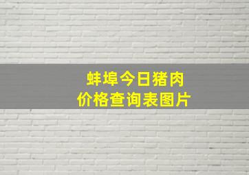 蚌埠今日猪肉价格查询表图片