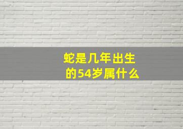 蛇是几年出生的54岁属什么