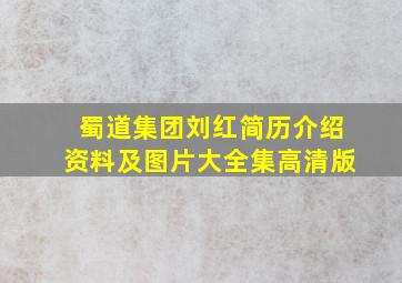 蜀道集团刘红简历介绍资料及图片大全集高清版