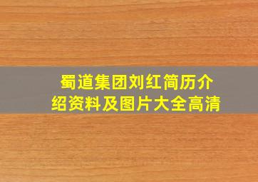 蜀道集团刘红简历介绍资料及图片大全高清