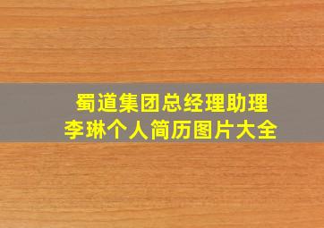 蜀道集团总经理助理李琳个人简历图片大全