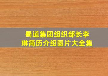 蜀道集团组织部长李琳简历介绍图片大全集