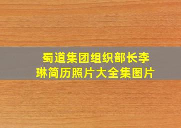 蜀道集团组织部长李琳简历照片大全集图片