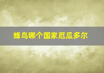 蜂鸟哪个国家厄瓜多尔