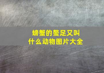 螃蟹的螯足又叫什么动物图片大全