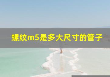 螺纹m5是多大尺寸的管子