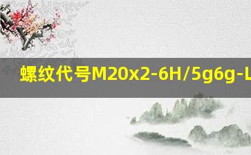 螺纹代号M20x2-6H/5g6g-LH表示