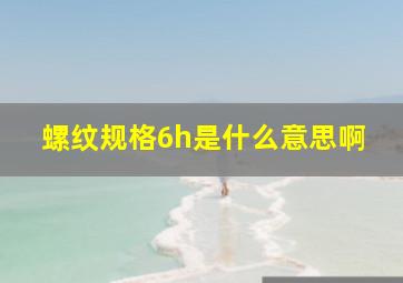 螺纹规格6h是什么意思啊