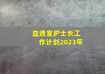 血透室护士长工作计划2023年