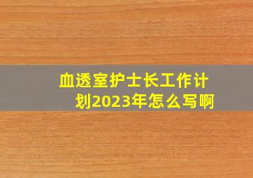 血透室护士长工作计划2023年怎么写啊