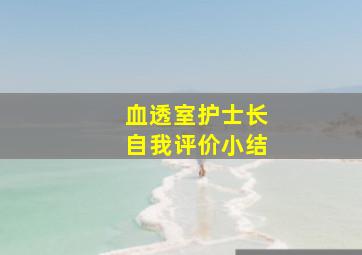 血透室护士长自我评价小结