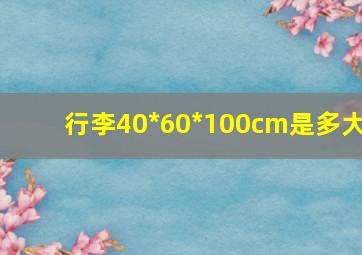 行李40*60*100cm是多大