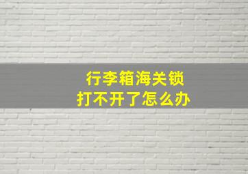 行李箱海关锁打不开了怎么办