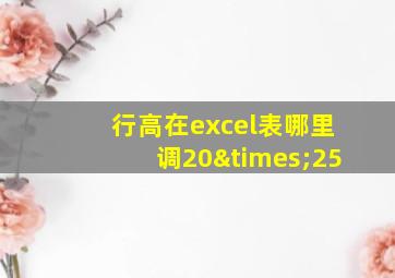 行高在excel表哪里调20×25