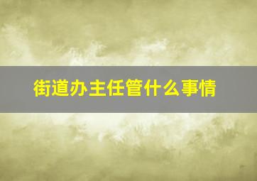 街道办主任管什么事情