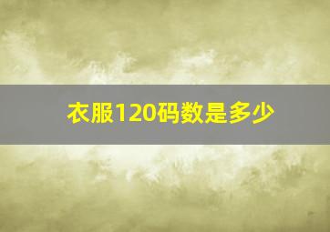 衣服120码数是多少