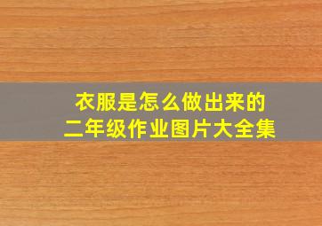 衣服是怎么做出来的二年级作业图片大全集