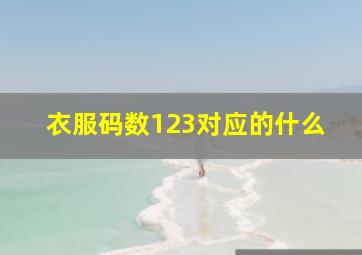 衣服码数123对应的什么