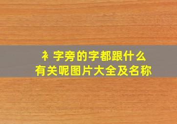 衤字旁的字都跟什么有关呢图片大全及名称