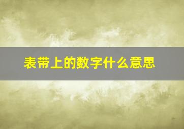 表带上的数字什么意思