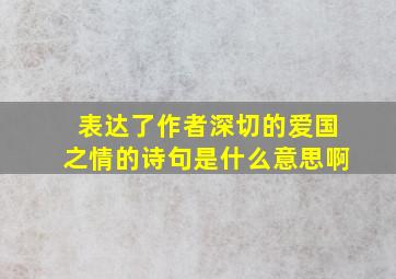 表达了作者深切的爱国之情的诗句是什么意思啊