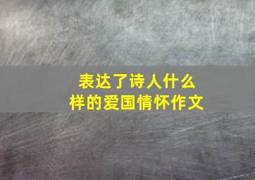 表达了诗人什么样的爱国情怀作文