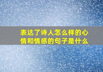 表达了诗人怎么样的心情和情感的句子是什么