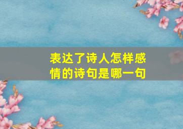 表达了诗人怎样感情的诗句是哪一句