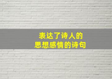 表达了诗人的思想感情的诗句