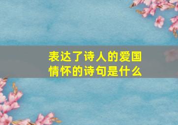 表达了诗人的爱国情怀的诗句是什么