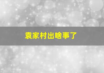 袁家村出啥事了