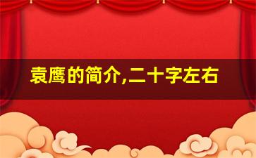 袁鹰的简介,二十字左右