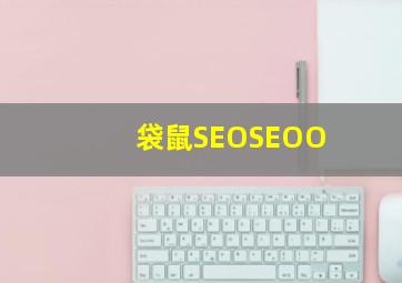 袋鼠SEOSEOO