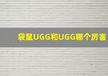 袋鼠UGG和UGG哪个厉害