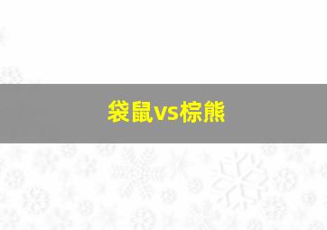 袋鼠vs棕熊