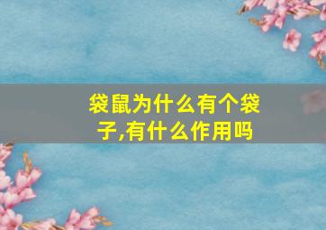 袋鼠为什么有个袋子,有什么作用吗