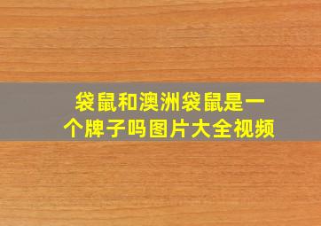 袋鼠和澳洲袋鼠是一个牌子吗图片大全视频