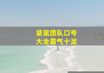 袋鼠团队口号大全霸气十足