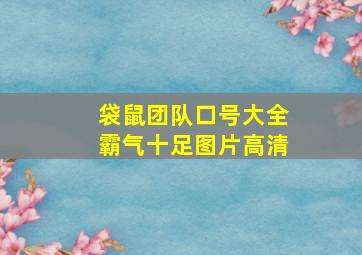 袋鼠团队口号大全霸气十足图片高清