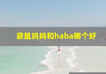 袋鼠妈妈和haba哪个好