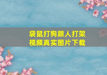 袋鼠打狗跟人打架视频真实图片下载