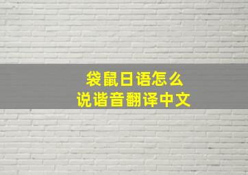 袋鼠日语怎么说谐音翻译中文