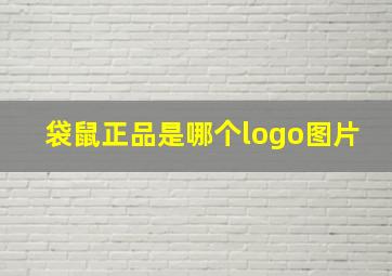 袋鼠正品是哪个logo图片