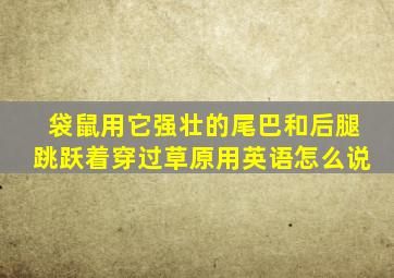 袋鼠用它强壮的尾巴和后腿跳跃着穿过草原用英语怎么说