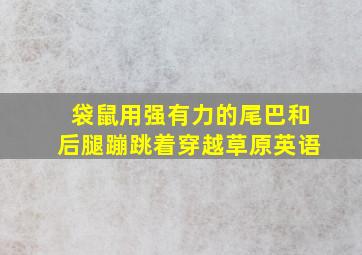 袋鼠用强有力的尾巴和后腿蹦跳着穿越草原英语