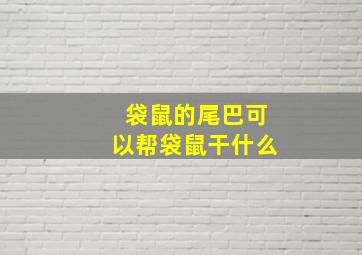 袋鼠的尾巴可以帮袋鼠干什么