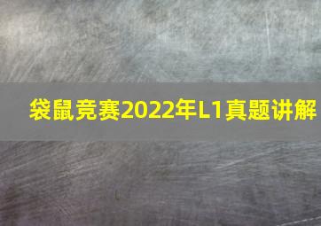 袋鼠竞赛2022年L1真题讲解